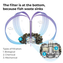 FLOW 15 Aquarium with MCR Light - 4 gallon