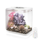 FLOW 15 Aquarium with MCR Light - 4 gallon
