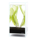 DOOA Neo Glass Air - Rad Aquatic Design