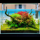ADA AQUASKY RGB 60  (for W60cm tank with glass thickness of 6mm)