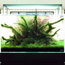 ADA AQUASKY RGB 60  (for W60cm tank with glass thickness of 6mm)