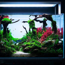 ADA AQUASKY RGB 60  (for W60cm tank with glass thickness of 6mm)