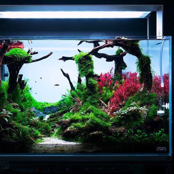 ADA AQUASKY RGB 60 (for W60cm tank with glass thickness of 6mm)