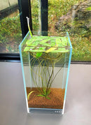 DOOA Tropical River Soil (2L)