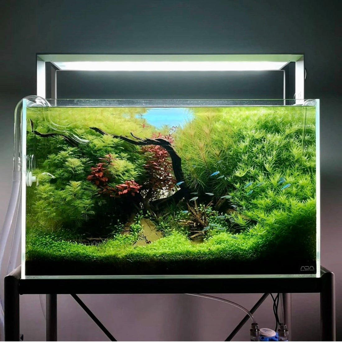 ADA AQUASKY RGB 60 (for W60cm tank with glass thickness of 6mm)