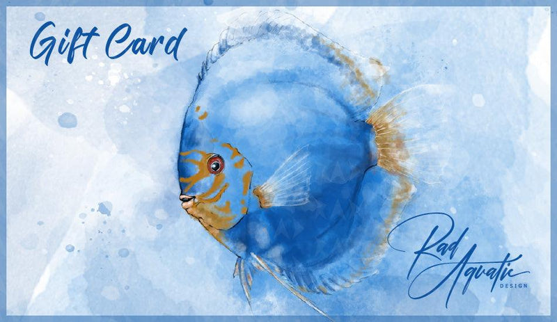 Rad Aquatic Design eGift Card - Illustration of a Discus fish