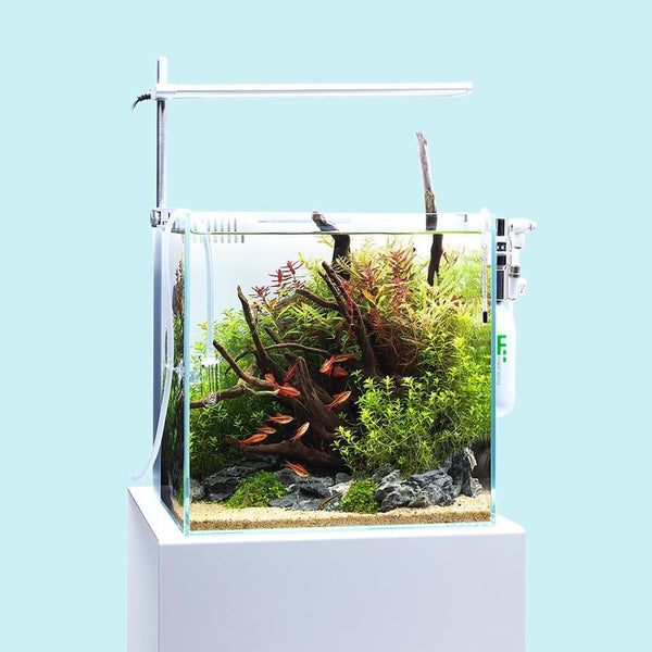 ADA dooa 30×18×12 dooa DOOA System Aqua 30 Starter Kit - Roger's Aquatics & Pet