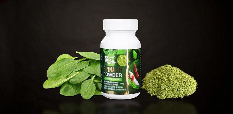 More Spinach Powder by SL-AQUA - Rad Aquatic Design