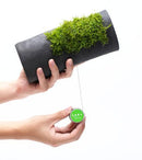 DOOA Terra Line - Rad Aquatic Design