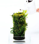 DOOA Terra Base - Rad Aquatic Design