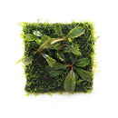 DOOA Wabi Kusa Mat (Pack of 6)