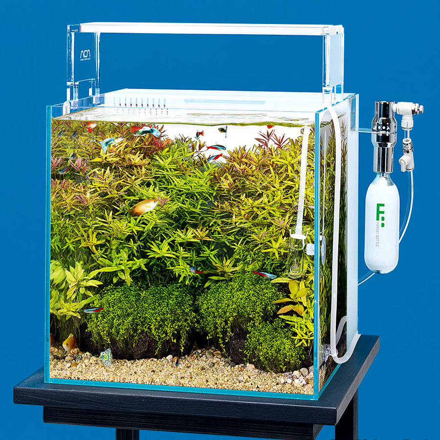 DOOA システムアクア30 SYSTEM_AQUA_30_image_2_700x.