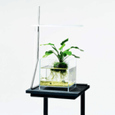 DOOA Wabi-Kusa Hanger