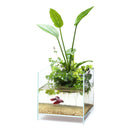 DOOA Wabi-Kusa Hanger