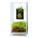 DOOA Terra Plate Hook