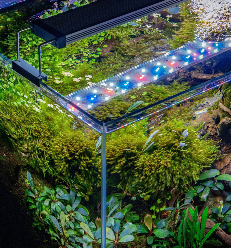 Twinstar LED - B Line Aquarium Light Fixture