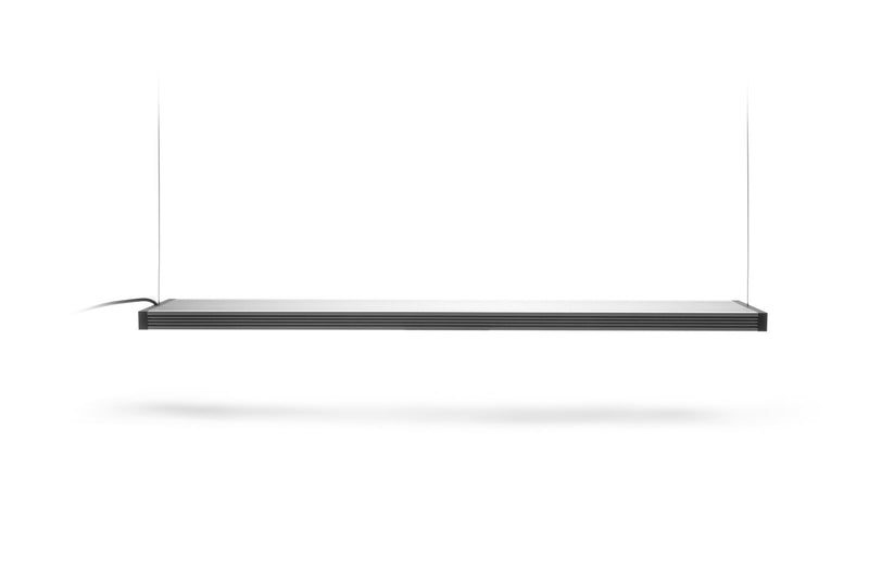 Twinstar LED SP Series (Pendant)